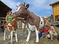 Erlebnispark mit Kühe melken
